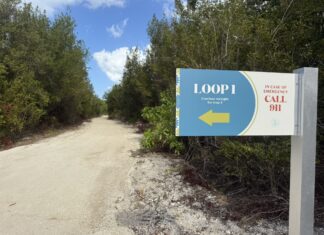 Global running event parkrun to launch in Cayman