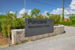 Poinciana operating at half capacity due to staff shortages