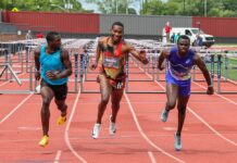 Rasheem Brown runs to new 110m hurdles national record