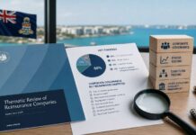Regulator’s reinsurance review finds corporate governance weaknesses