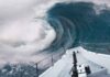 Tsunami: Surviving the surge