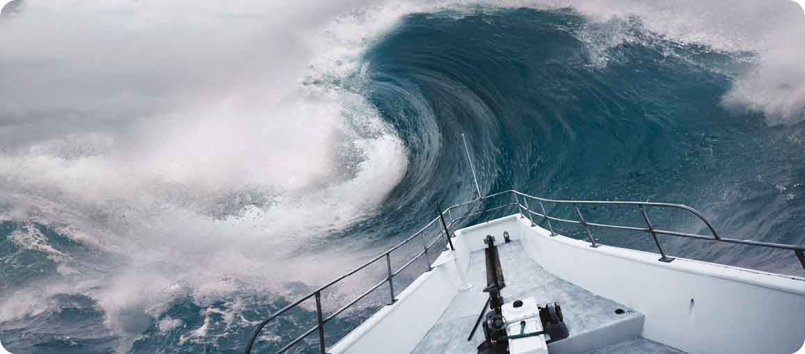 TSUNAMI-Surviving-the-surge
