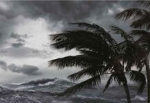 The Saffir-Simpson hurricane wind scale