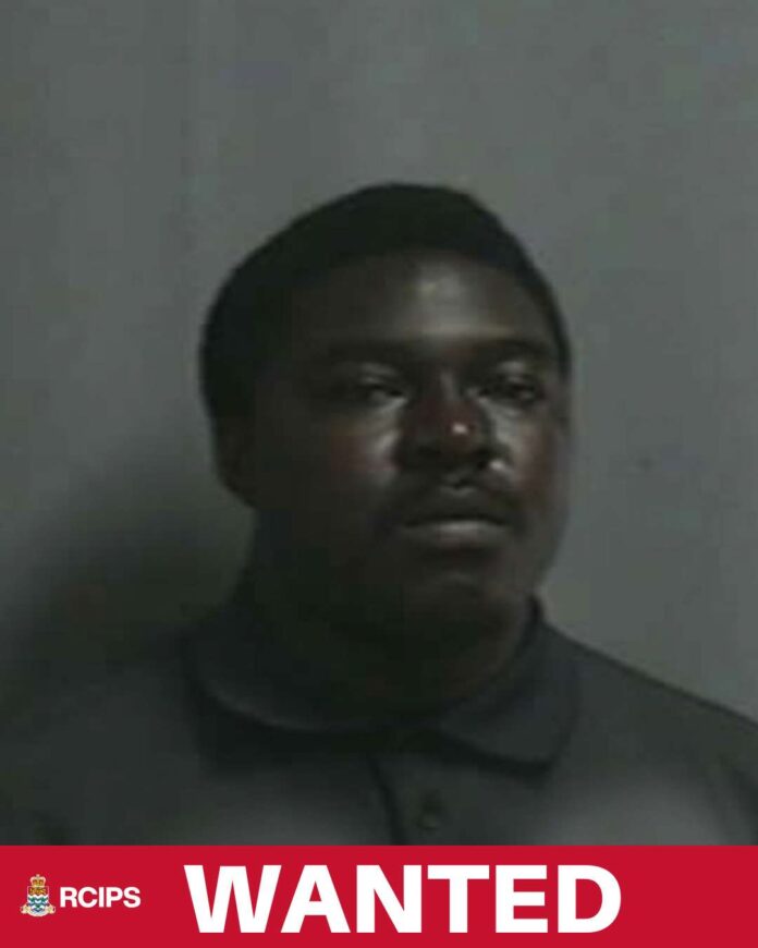 Wanted Man Michael Gollab