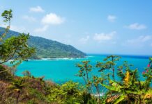 Cayman Airways adds summer flights to Panama as demand grows