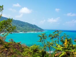 Cayman Airways adds summer flights to Panama as demand grows