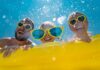 Beach clubs, boat trips and more: Summer deals for Cayman residents beach