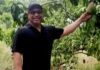 Sir Alden McLaughlin’s fruitful retirement