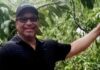 Sir Alden McLaughlin’s fruitful retirement