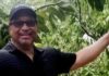 Sir Alden McLaughlin’s fruitful retirement