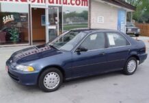 Police take aim at those responsible for car theft wave