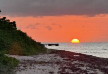 New dawn as planning, environment boards bridge divide