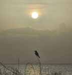 Pic of the Week: Timing is everything