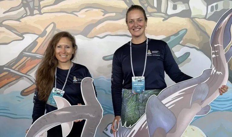Cayman's shark research discussed on world stage