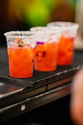 margarita festival
