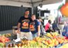 Mango mania as record crowd flocks to festival of the fruit