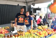 Mango mania as record crowd flocks to festival of the fruit