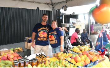 Mango mania as record crowd flocks to festival of the fruit