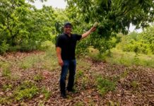 Sir Alden McLaughlin’s fruitful retirement