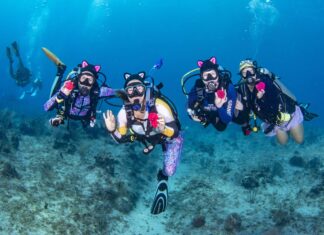 Women’s Dive Day saving lives