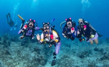 Women’s Dive Day saving lives