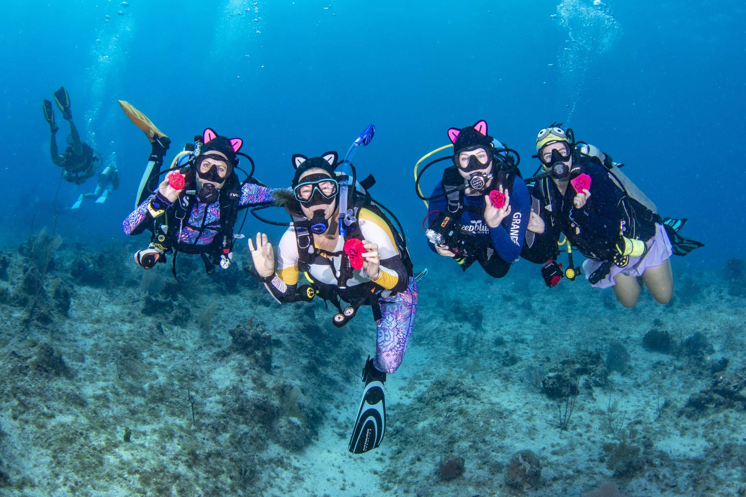 Womens Dive Day16
